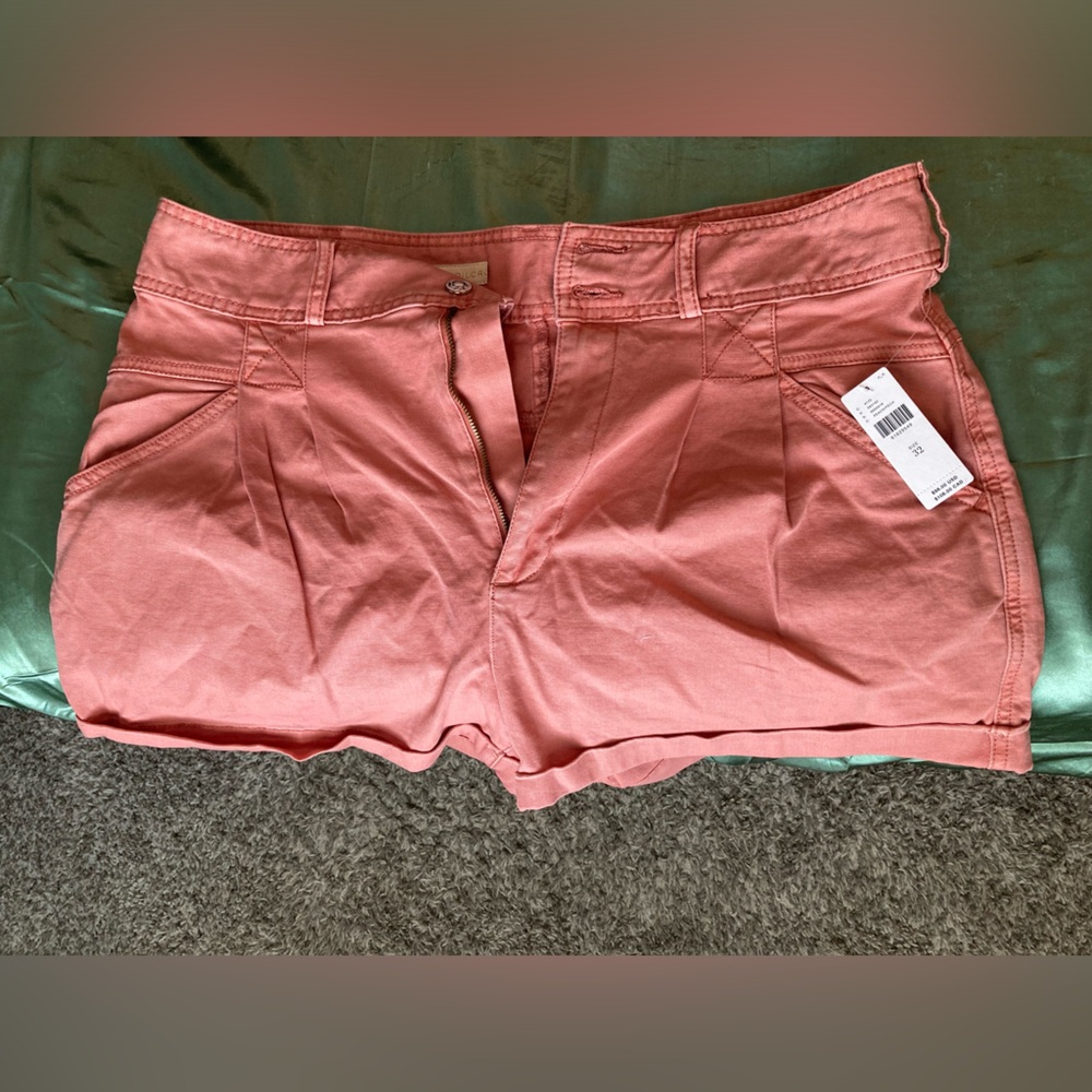 Anthropologie shorts